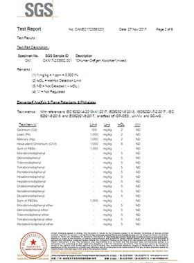 SGS Report